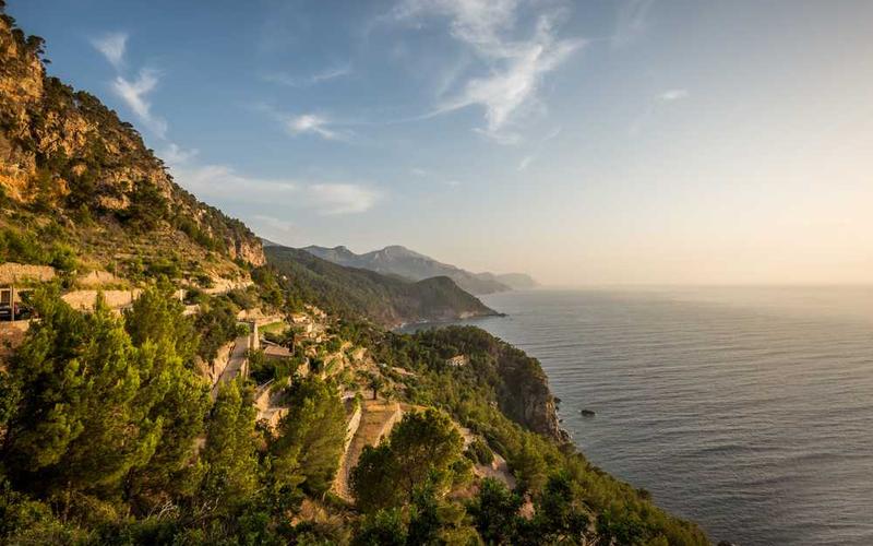 Analytics and optimization visualization