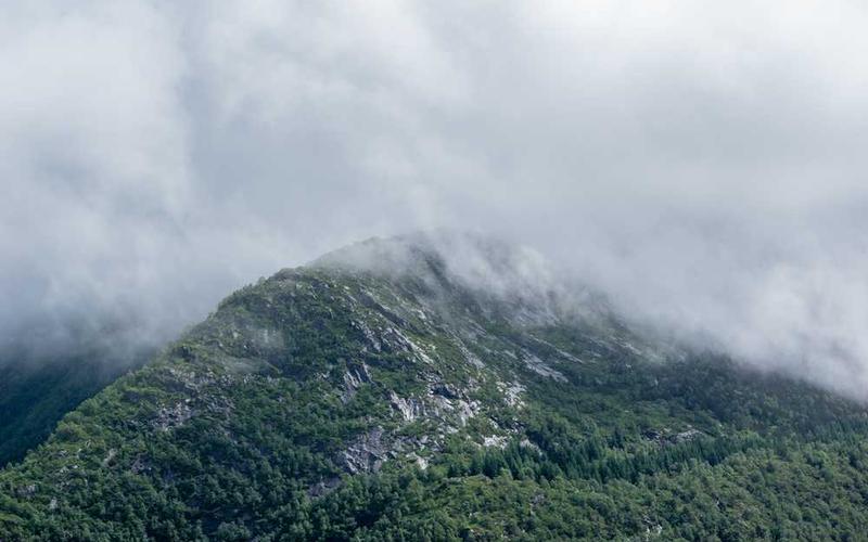 Pay per response visualization